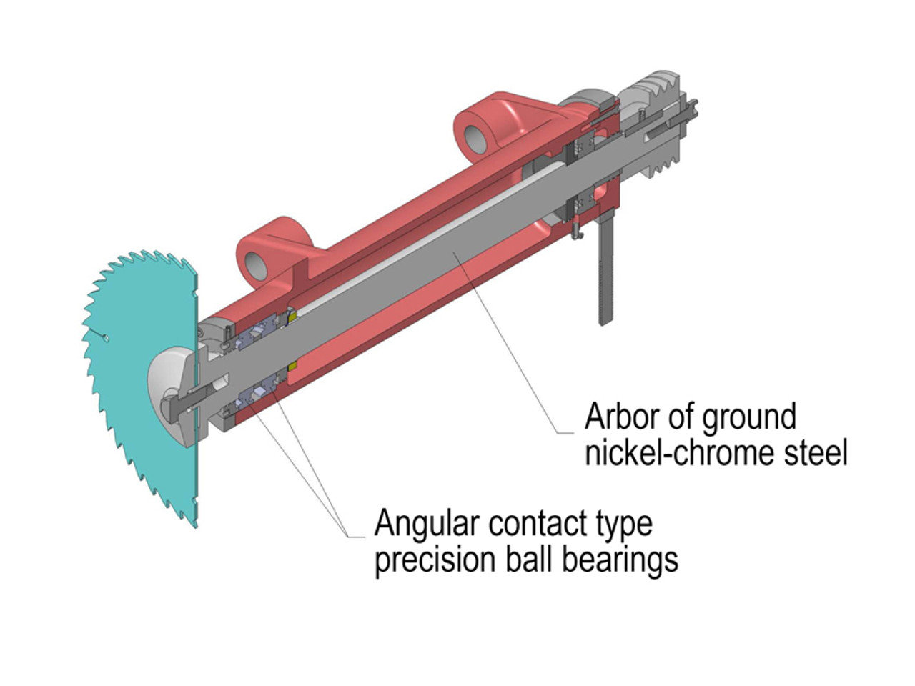 CANTEK | C12RSH STRAIGHT LINE RIPSAW