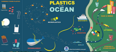 23 Genius Ways to Repurpose Plastic Bags