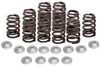 Tucker Rocky Valve Spring Kit, Beehive Valve with HT Steel Retainers or Can-Am Maverick X3 900 17-20