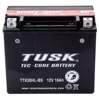 Rocky Mountain Tusk Tec-Core Battery with Acid TTX20HLBS