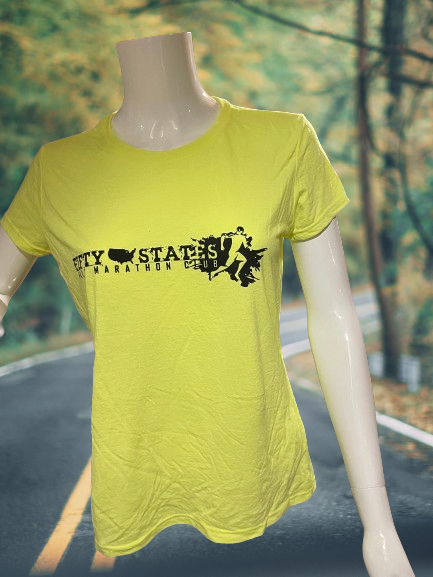 Poly T-SHIRT LADIES Jersey Knit Wicking Short Sleeve