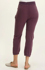 Squire Pant- Upscale Pigment
