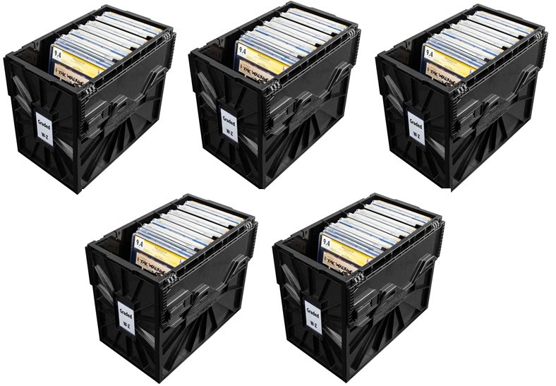 BCW Graded Comic Book Bin | Collectiblesupply.com
