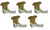 BCW 5X BCW 330 Count Card Storage Box