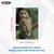 BCW 5x7 Photo Sleeves 100 Pack Acid-Free Archival Clear Photo Protectors