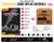 BCW Golden Comic Mylar Archivals - 2 MIL Case (10 Packs)