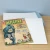 BCW Premade® Resealable Silver Comic Bag and Board Case (10 Packs)