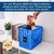 BCW Short Comic Book Plastic Storage Bin Blue