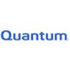 Quantum Quantum