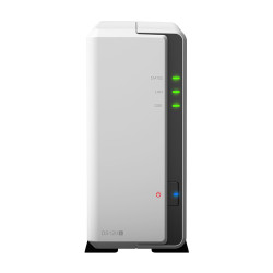 Synology DiskStation DS120j NAS Tower Ethernet/LAN Gris 88F3720