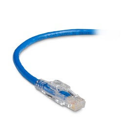 Black Box 1ft CAT5e UTP câble de réseau Bleu 0,3 m U/UTP (UTP)