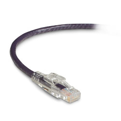 Black Box GigaTrue 3 CAT6 4ft câble de réseau Violet 1,2 m U/UTP (UTP)