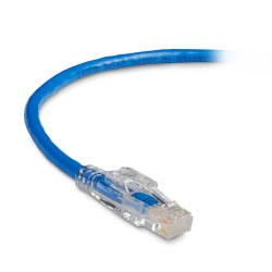 Black Box Cat6 1.5m UTP câble de réseau Bleu 1,5 m U/UTP (UTP)