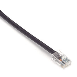 Black Box 30.4m CAT6 câble de réseau Violet 30,4 m