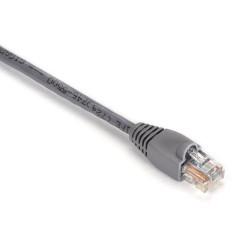 Black Box Cat5e UTP 2.1m câble de réseau Gris 2,1 m U/UTP (UTP)