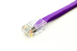 C6NB-P3-AX Axiom cat6, 3ft câble de réseau violet 0,9 m u/utp (utp)
