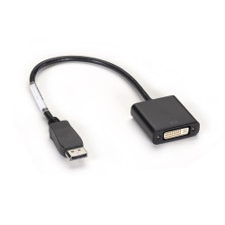 EVNDPDVI-MF-R3 Black box evndpdvi-mf-r3 câble vidéo et adaptateur displayport dvi-d noir