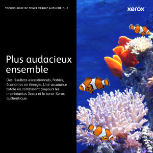 Miniature du produit