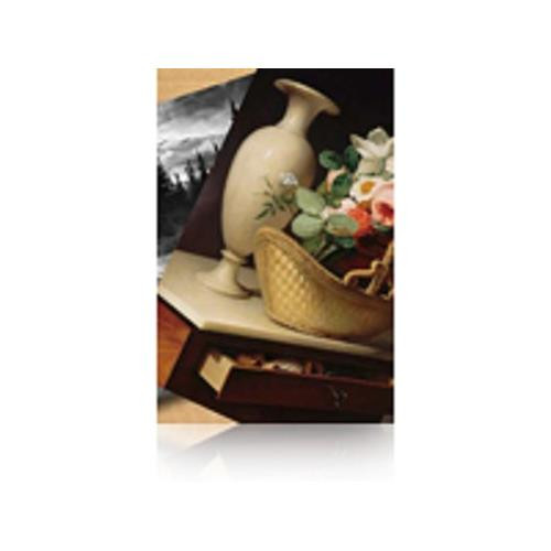 Epson Pap Photo Premium Lustré (260) 260g 60" (1,524x30,5m) - C13S042134