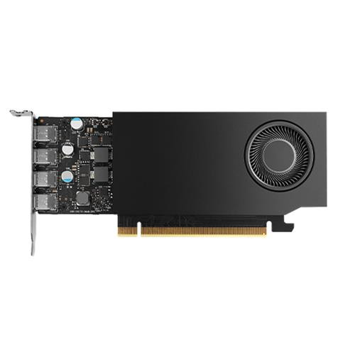 HP NVIDIA RTX A1000 8 GB with Mini Bracket 4mDP Graphics - AV8J4AA