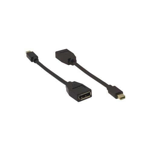 Kramer Electronics ADC-MDP/DPF DisplayPort Mini DisplayPort Noir - 99-97200007
