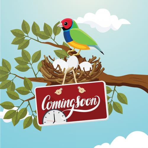 Viewsonic  accessoire de dispositifs pour modulaires - LD-MK-001