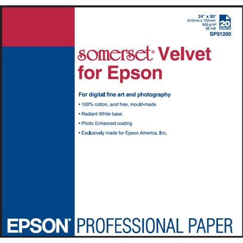 Epson  papier photos Blanc - SP91201