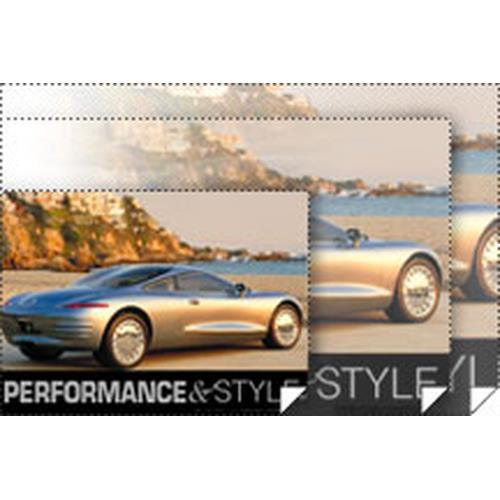 Epson Enhanced Adhesive Synthetic Paper 44" x 100' - S041619