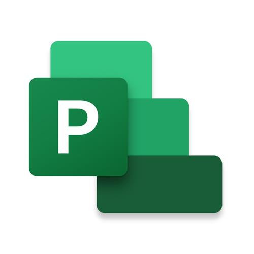 Microsoft Project Professional 2021 Gestion de projet Public Key Certificate (PKC) 1 licence(s) - H30-05953