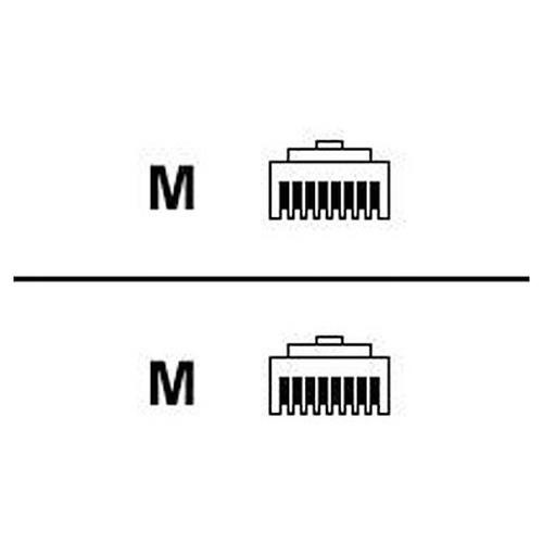 HP 4.3m/14ft CAT5 RJ45 M/M Ethernet Cable câble de réseau - C7536A