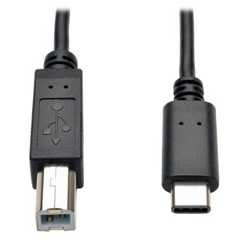 Tripp Lite  câble USB USB 2.0 1,83 m USB B USB C Noir - U040-006