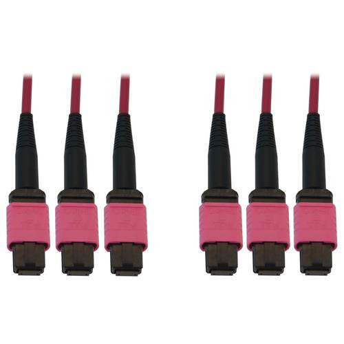 Tripp Lite  câble InfiniBand et à fibres optiques 3x MTP/MPO OFNR Noir, Magenta - N858B-45M-3X8MG