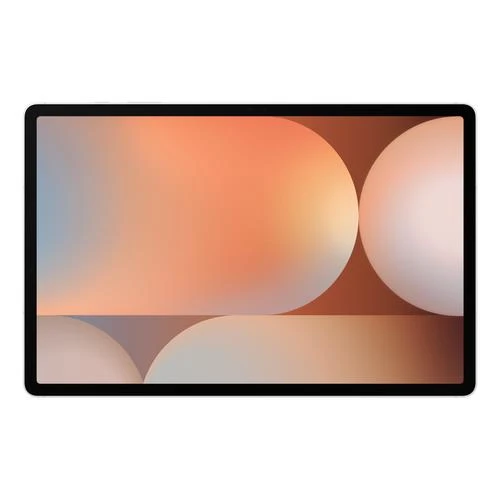 Samsung Galaxy Tab S10+ SM-X820 512 Go 31,5 cm (12.4") 12 Go Wi-Fi 6E (802.11ax) Argent - SM-X820NZSEXAC