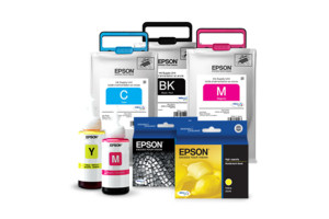 Epson R12 cartouche d'encre Original Noir - TR12120