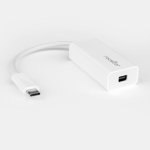 Rocstor  câble DisplayPort USB C Mini DisplayPort Blanc - Y10A241-W1