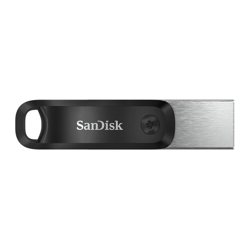 SanDisk  lecteur USB flash 256 Go 3.2 Gen 1 (3.1 Gen 1) Gris, Argent - SDIX60N-256G-GN6NE