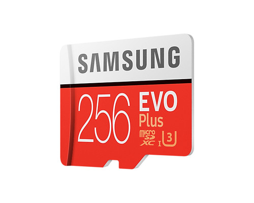 Samsung EVO Plus 256 Go MicroSDXC UHS-I Classe 10 - MB-MC256HA/CA