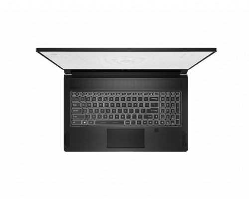 MSI Workstation 11UK-470 Intel® Core™ i7 i7-11800H Ordinateur portable 43,9 cm (17.3") Full HD 32 Go DDR4-SDRAM 1 To SSD NVIDIA RTX A3000 Wi-Fi 6E (802.11ax) Windows 10 Pro Noir - WS7611470