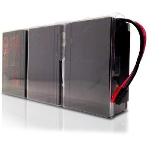 Minute Man  Batterie de l'onduleur Sealed Lead Acid (VRLA) - BM0039