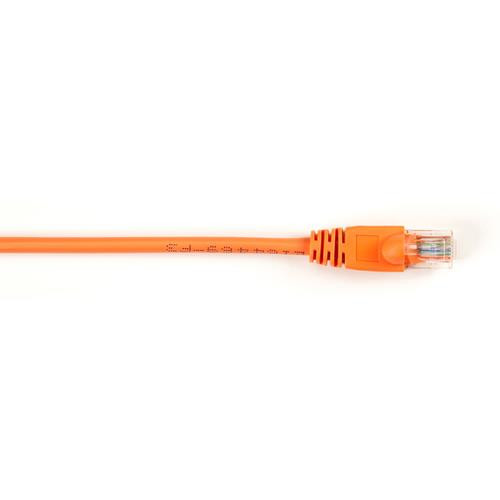 Black Box Value Line Cat5e 1ft câble de réseau Orange 0,3 m - CAT5EPC-001-OR