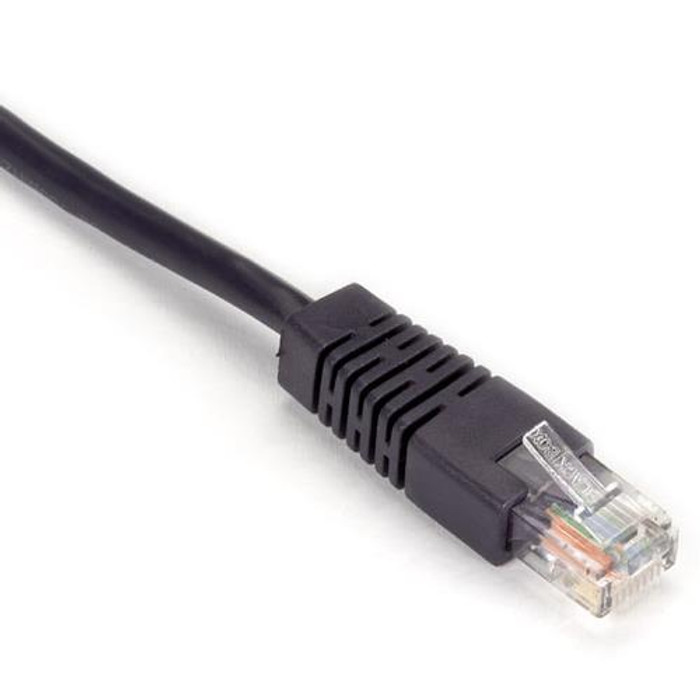 Black Box Cat.5e UTP 0.3m câble de réseau Violet 0,3 m Cat5e U/UTP (UTP) - EVNSL28E-0001