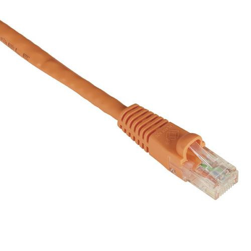 Black Box GigaTrue Cat.6 RJ-45 6m câble de réseau Orange Cat6 U/UTP (UTP) - EVNSL679-0020