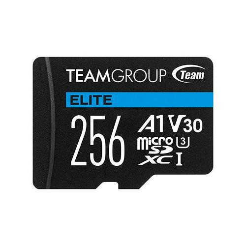 Team Group ELITE 256 Go MicroSDXC UHS-I - TEAUSDX256GIV30A103