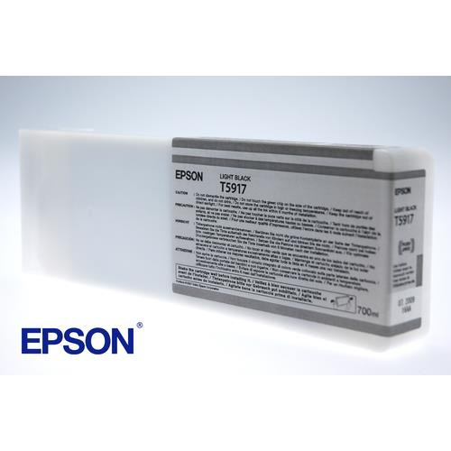 Epson Encre Pigment Gris Clair SP 11880 (700ml) - C13T591700