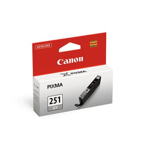 Canon CLI-251GY cartouche d'encre 1 pièce(s) Original Rendement standard Gris - 6517B001