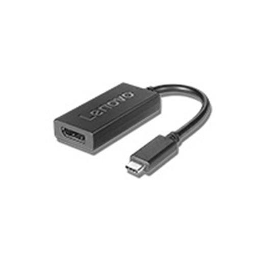 Lenovo  câble vidéo et adaptateur 0,2 m USB Type-C DisplayPort Noir - 4X90Q93303