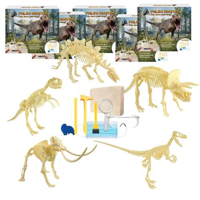 HamiltonBuhl  coffret de sciences pour enfant - PH-KIT5