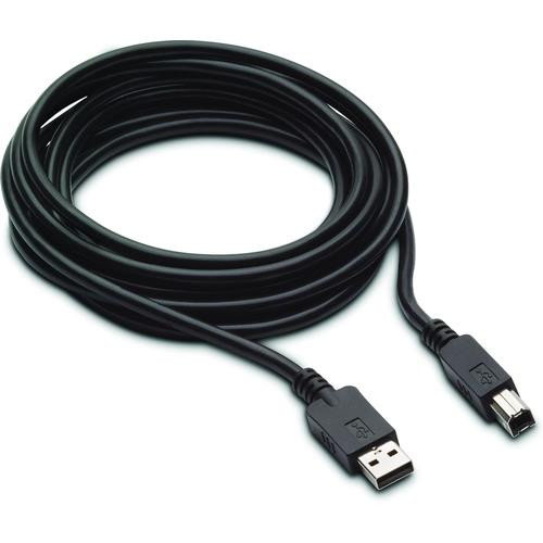 HP Câble DP et USB B vers A 300 cm pour L7016t L7014t et L7010t - V4P96AA