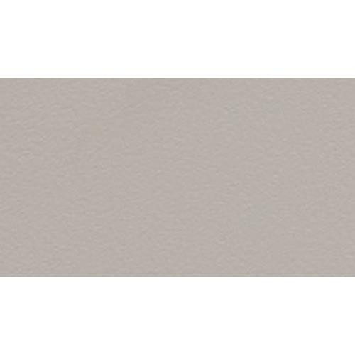 Elite Screens  écran de projection - ZR135H1-M