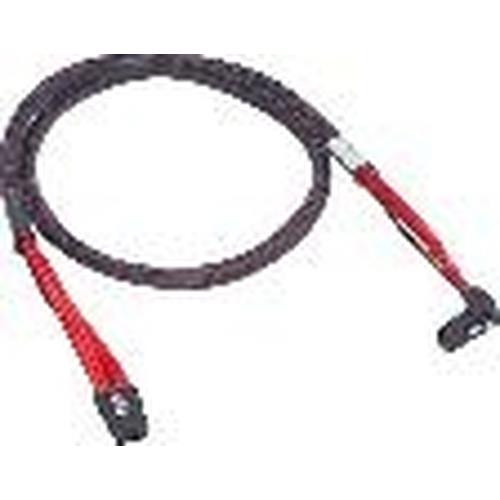 Promise Technology Promise Mini-SAS to Mini-SAS 1 m - CABRA2MS10